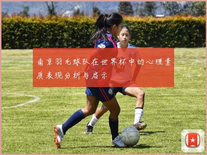南京羽毛球队在世界杯中的心理素质表现分析与启示