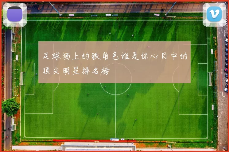 足球场上的狠角色谁是你心目中的顶尖明星排名榜