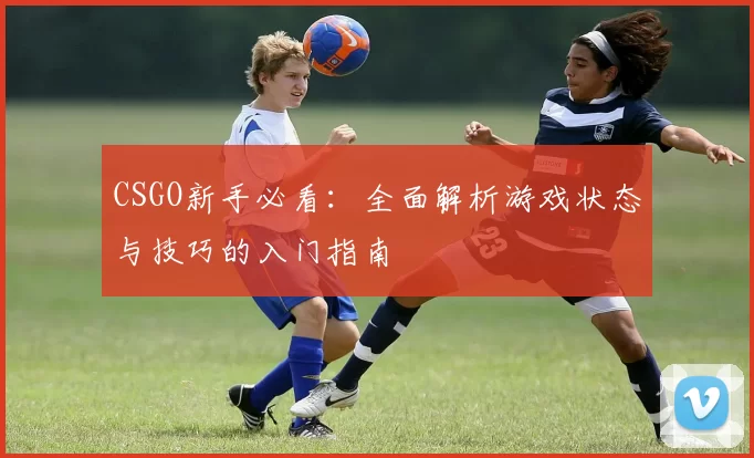 CSGO新手必看：全面解析游戏状态与技巧的入门指南