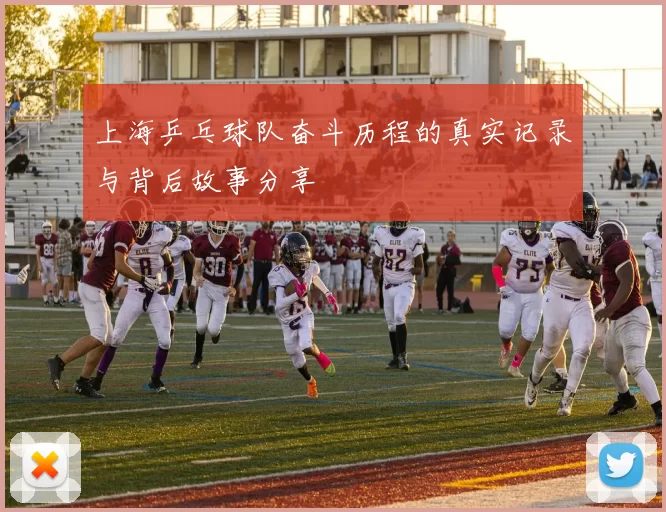 上海乒乓球队奋斗历程的真实记录与背后故事分享