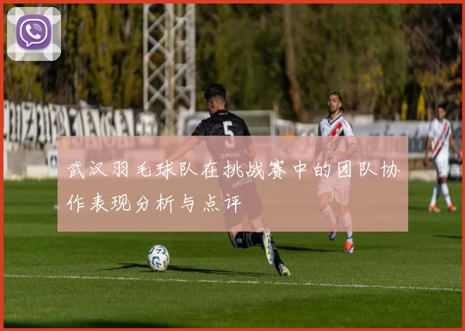 武汉羽毛球队在挑战赛中的团队协作表现分析与点评