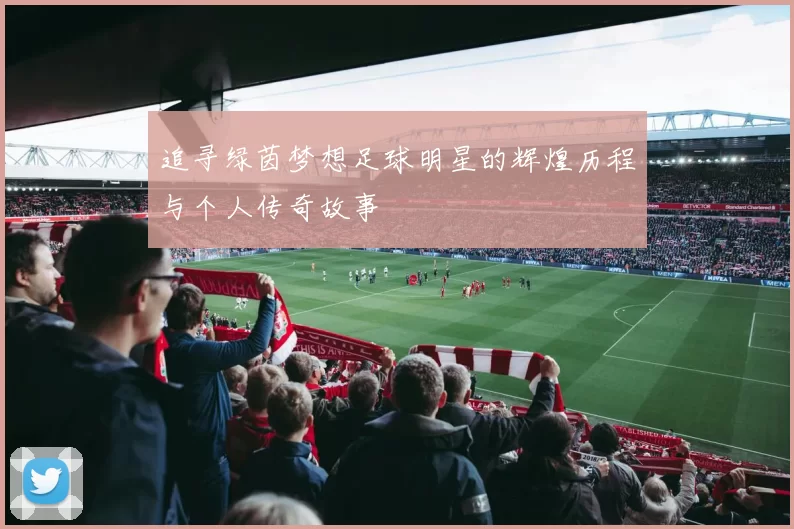 追寻绿茵梦想足球明星的辉煌历程与个人传奇故事
