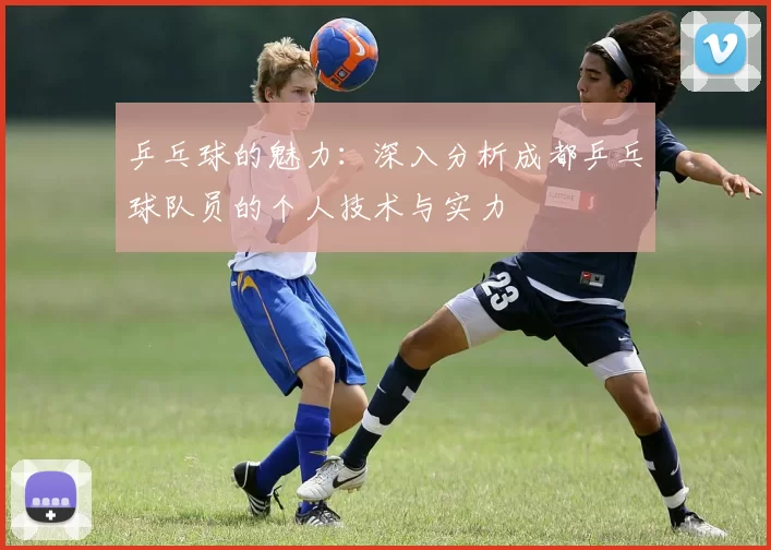 乒乓球的魅力：深入分析成都乒乓球队员的个人技术与实力