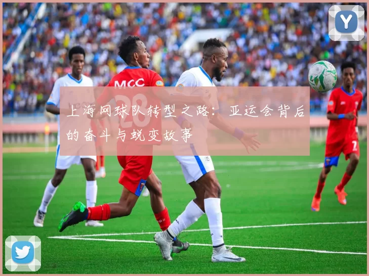 上海网球队转型之路：亚运会背后的奋斗与蜕变故事
