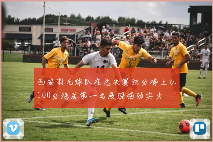 西安羽毛球队在总决赛积分榜上以100分稳居第一名展现强劲实力