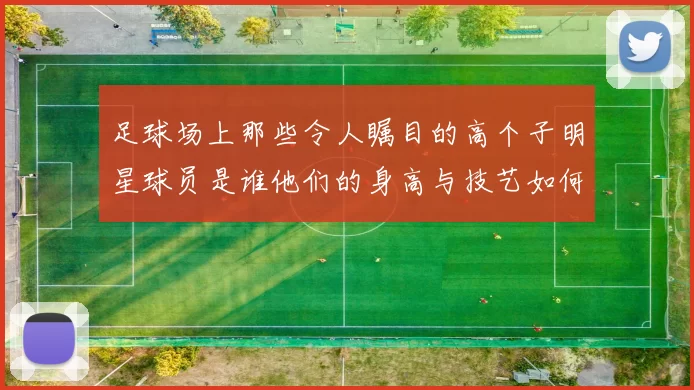 足球场上那些令人瞩目的高个子明星球员是谁他们的身高与技艺如何相辅相成