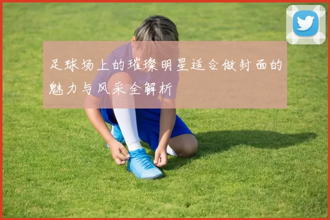 足球场上的璀璨明星适合做封面的魅力与风采全解析