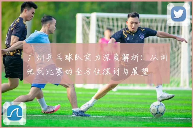 广州乒乓球队实力深度解析：从训练到比赛的全方位探讨与展望