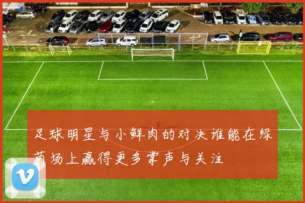 足球明星与小鲜肉的对决谁能在绿茵场上赢得更多掌声与关注