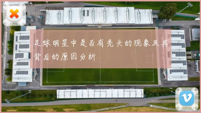 足球明星中是否有秃头的现象及其背后的原因分析
