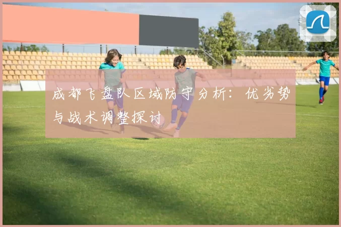 成都飞盘队区域防守分析：优劣势与战术调整探讨