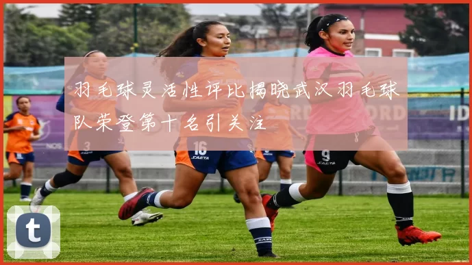 羽毛球灵活性评比揭晓武汉羽毛球队荣登第十名引关注